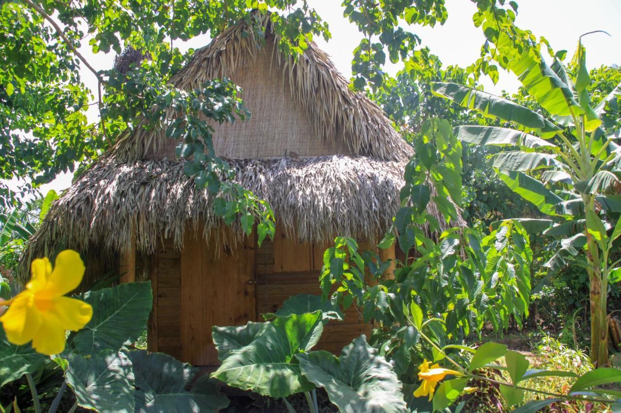 Samana Ecolodge El Limon Εξωτερικό φωτογραφία