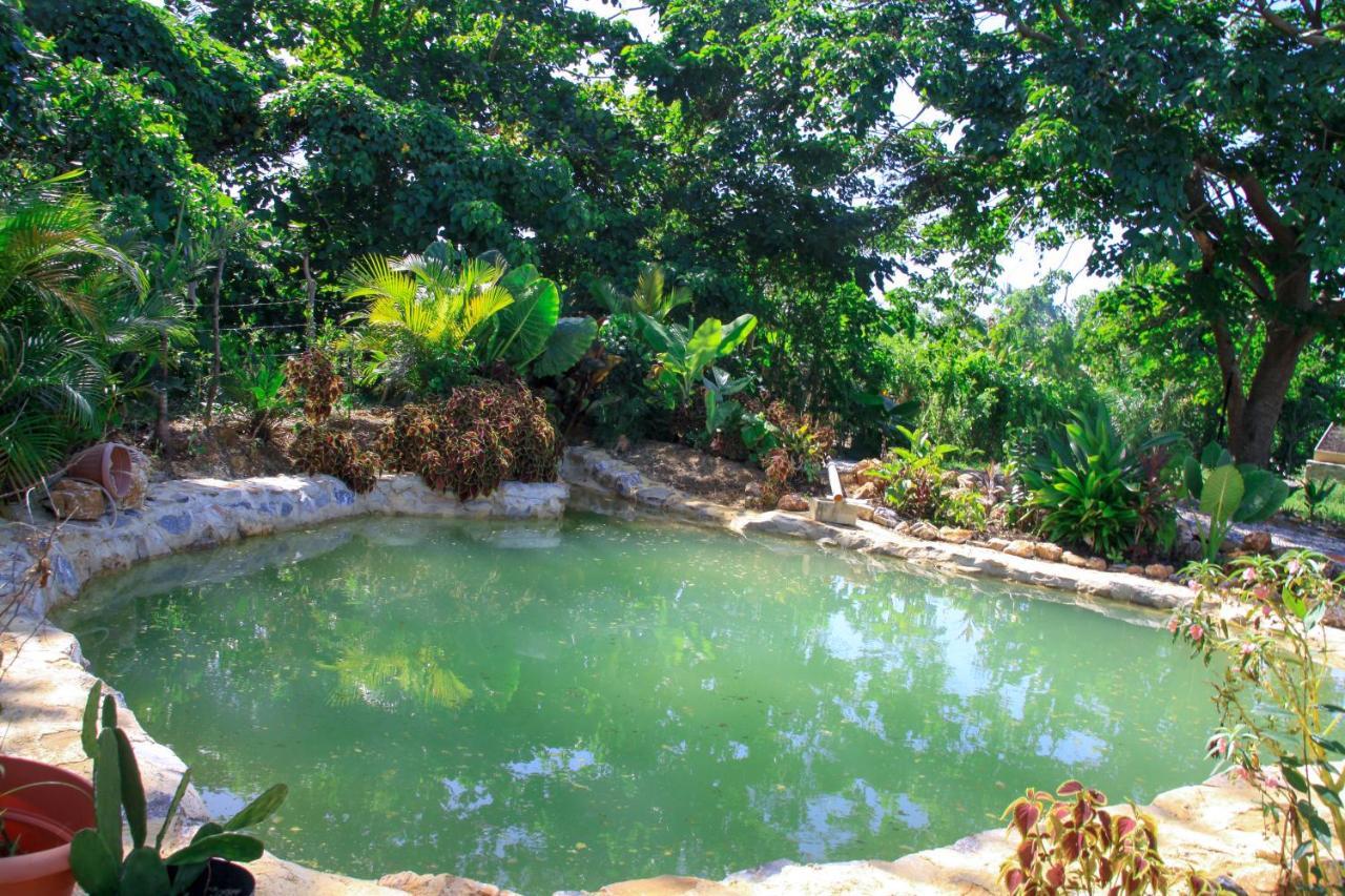 Samana Ecolodge El Limon Εξωτερικό φωτογραφία