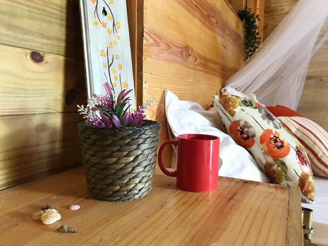 Samana Ecolodge El Limon Εξωτερικό φωτογραφία