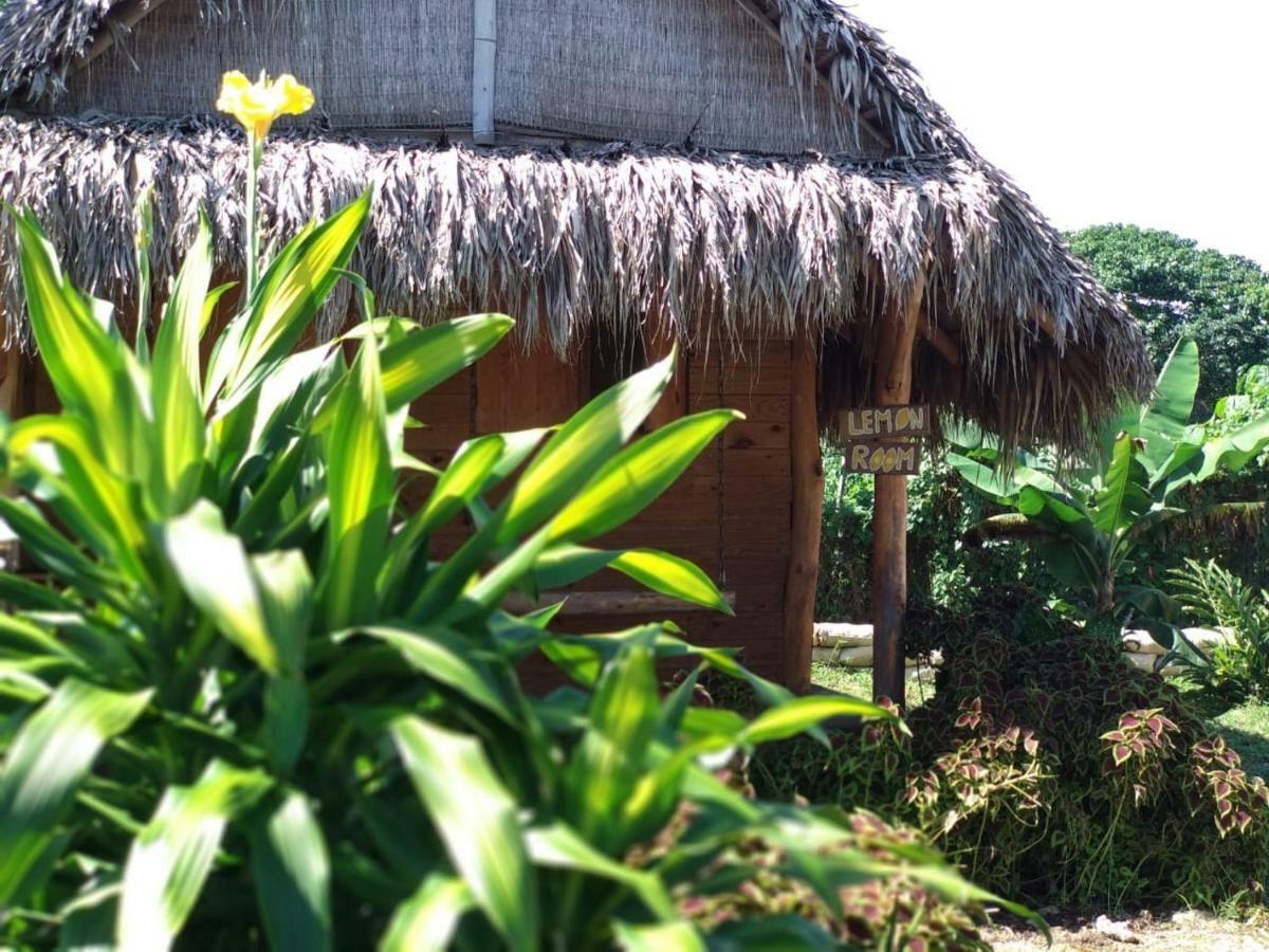 Samana Ecolodge El Limon Εξωτερικό φωτογραφία