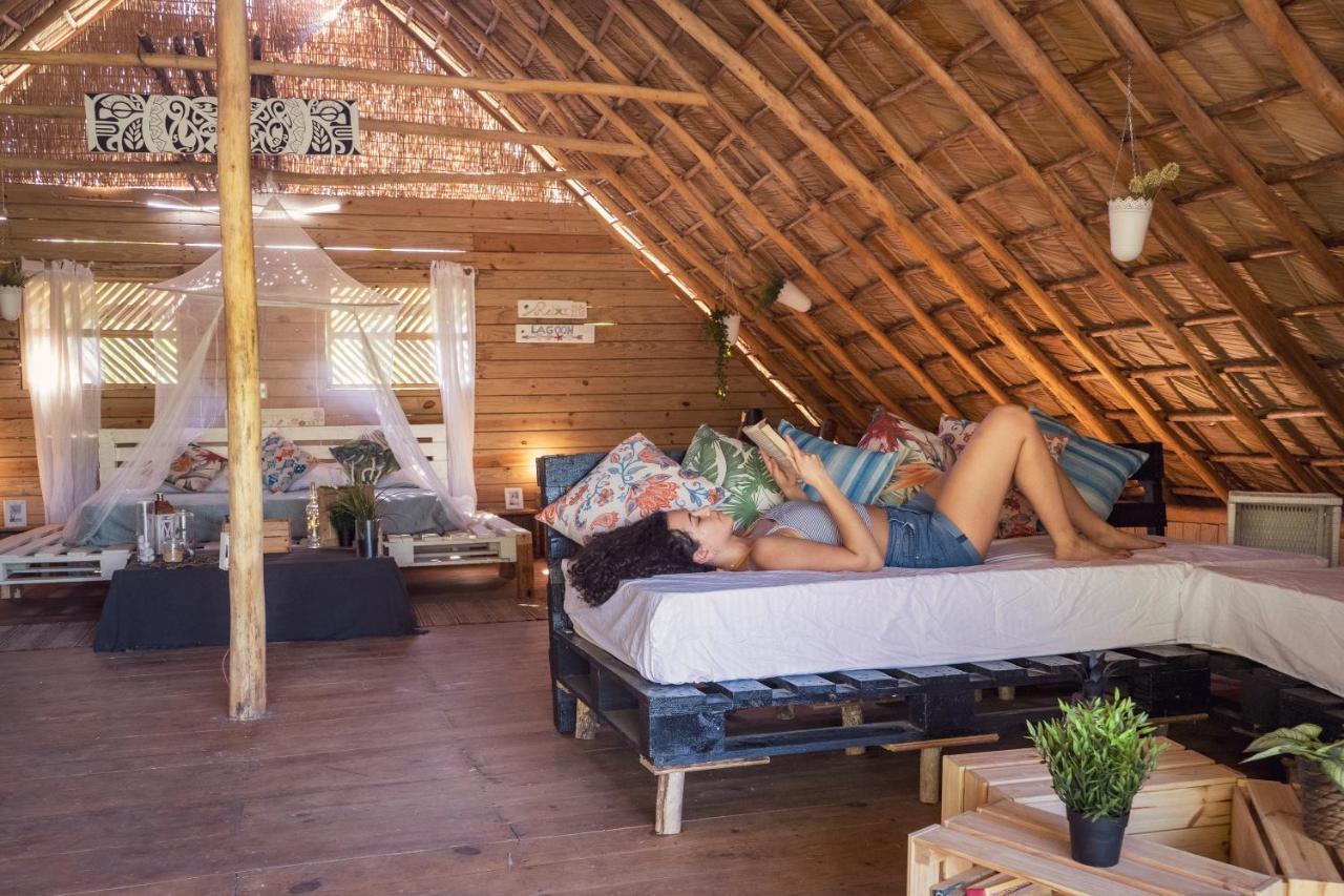 Samana Ecolodge El Limon Εξωτερικό φωτογραφία