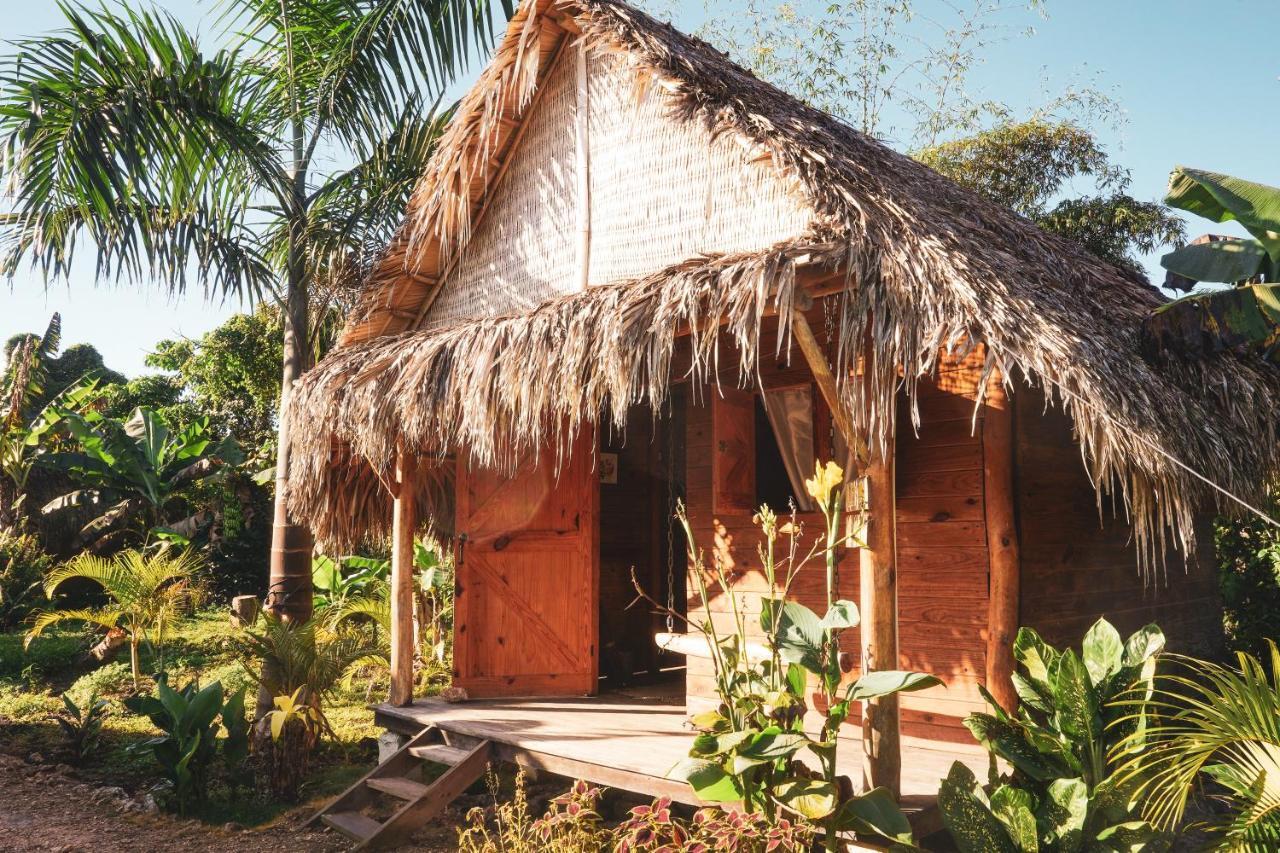 Samana Ecolodge El Limon Εξωτερικό φωτογραφία