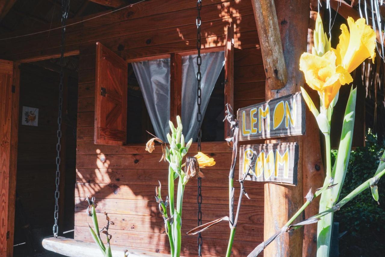 Samana Ecolodge El Limon Εξωτερικό φωτογραφία