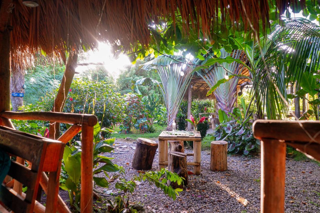 Samana Ecolodge El Limon Εξωτερικό φωτογραφία