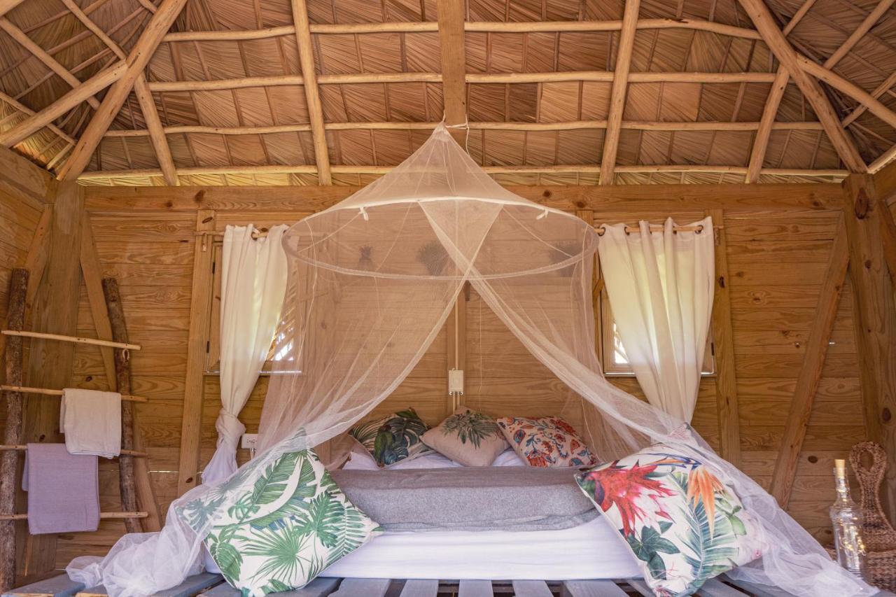 Samana Ecolodge El Limon Εξωτερικό φωτογραφία