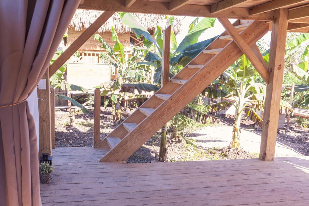 Samana Ecolodge El Limon Εξωτερικό φωτογραφία