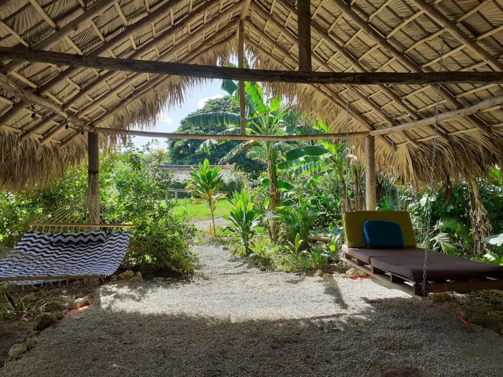 Samana Ecolodge El Limon Εξωτερικό φωτογραφία