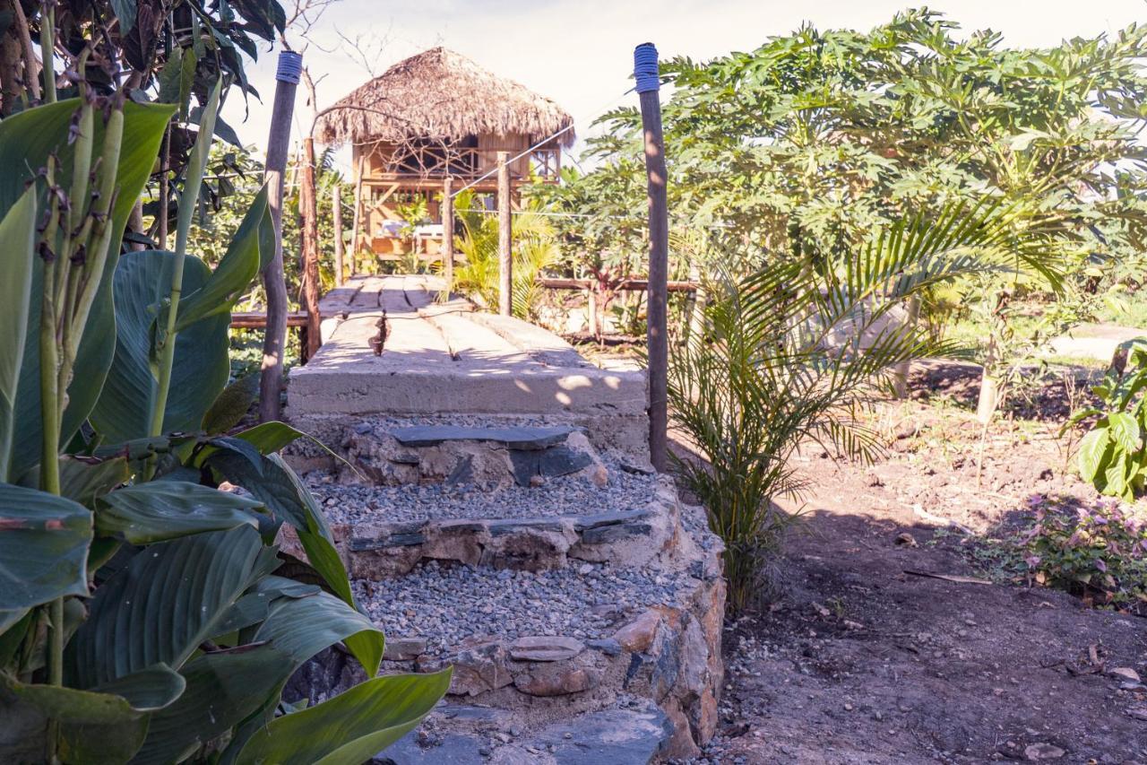 Samana Ecolodge El Limon Εξωτερικό φωτογραφία