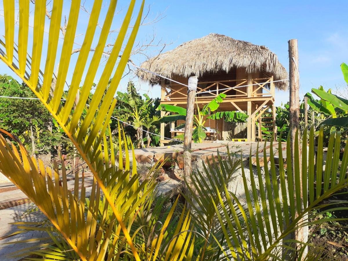 Samana Ecolodge El Limon Εξωτερικό φωτογραφία